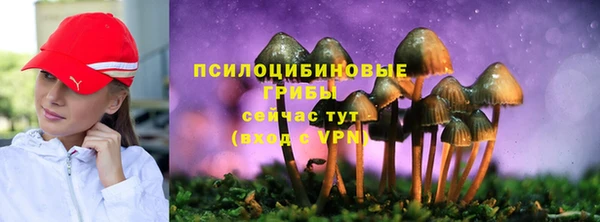 гидропоника Балахна