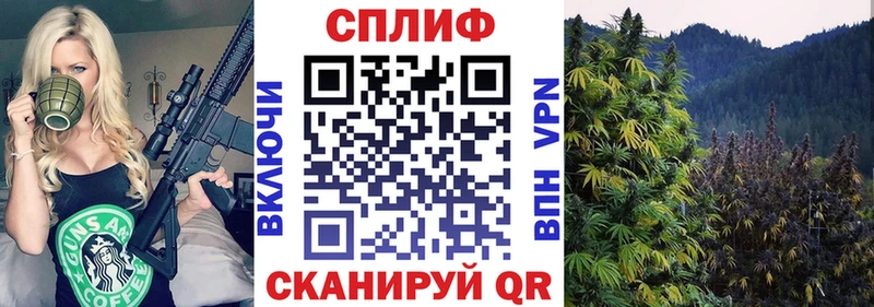 Бошки марихуана ГИДРОПОН Пересвет